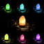 Lampe à sel Brasimal Himalayan Glow