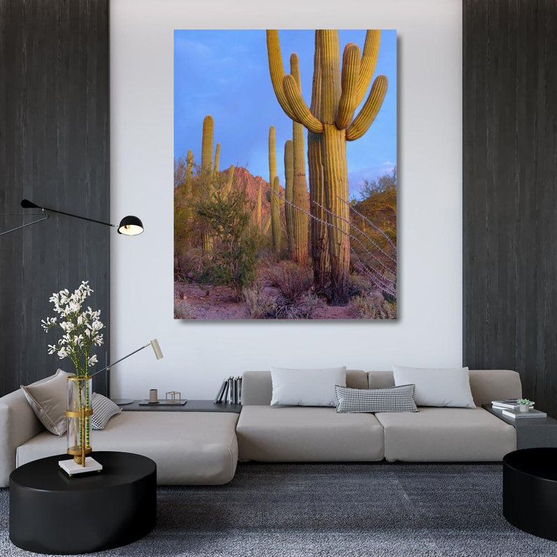 «Red Barrel Studio®» par Fitzharris, Tim, reproduction d'art sur toile tendue: Montagnes Tucson - Parc national de Saguaro - Arizona 60776