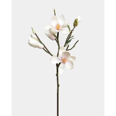 White Magnolia Tulip 20"