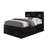 Storage Bed Frame(Only Bed)-1079707921