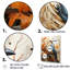 «Bird Avian Realism - Bird», reproduction d'art sur toile-95866419-134430415