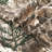 Nappes en polycoton 60 po x 84 po Realtree Edge