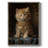 ANIMALS Series CCI Framed Print - Solid Wood-758065653
