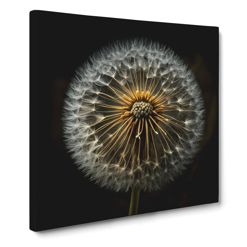 Dandelion Photograph No.1 - Wrapped Canvas