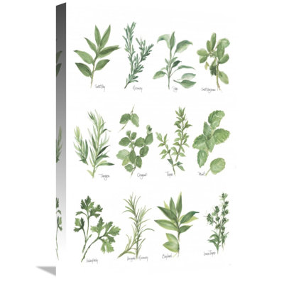 " Herb Chart " by Chris Paschke