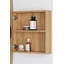 Mecca 45 mm W 90 mm H Mirrored Bathroom Cabinets with Mirror and 1