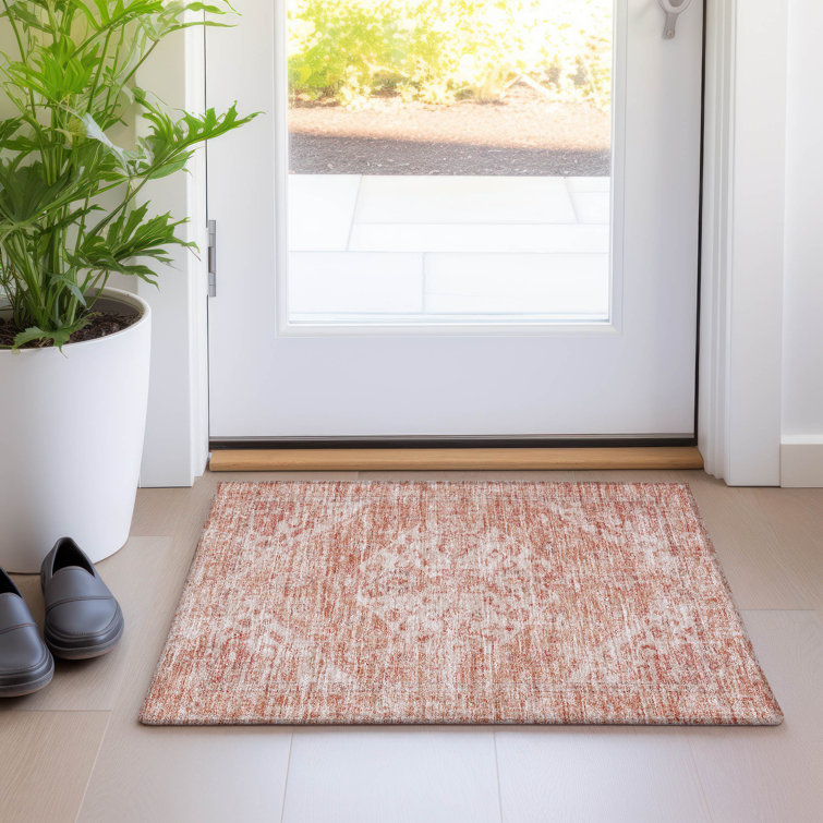 Machine Washable Indoor/Outdoor Chayden ACN1104 Coral Rug