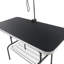 Table de nettoyage pour animaux