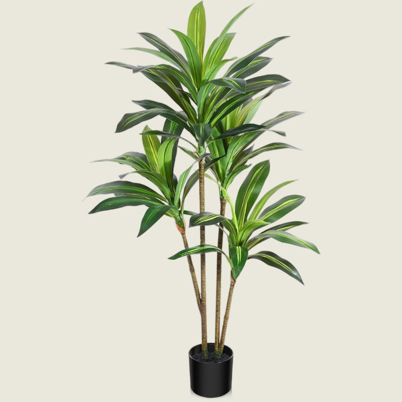 Fausse plante verte Dracaena en pot, H 71 po x l 20 po x P 20 po