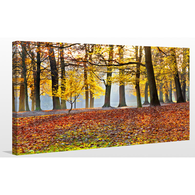 « forest path », reproduction de photo sur toile tendue, H 18 po x l 30 po x P 1 po