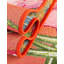 Tapis Bloom-794766781