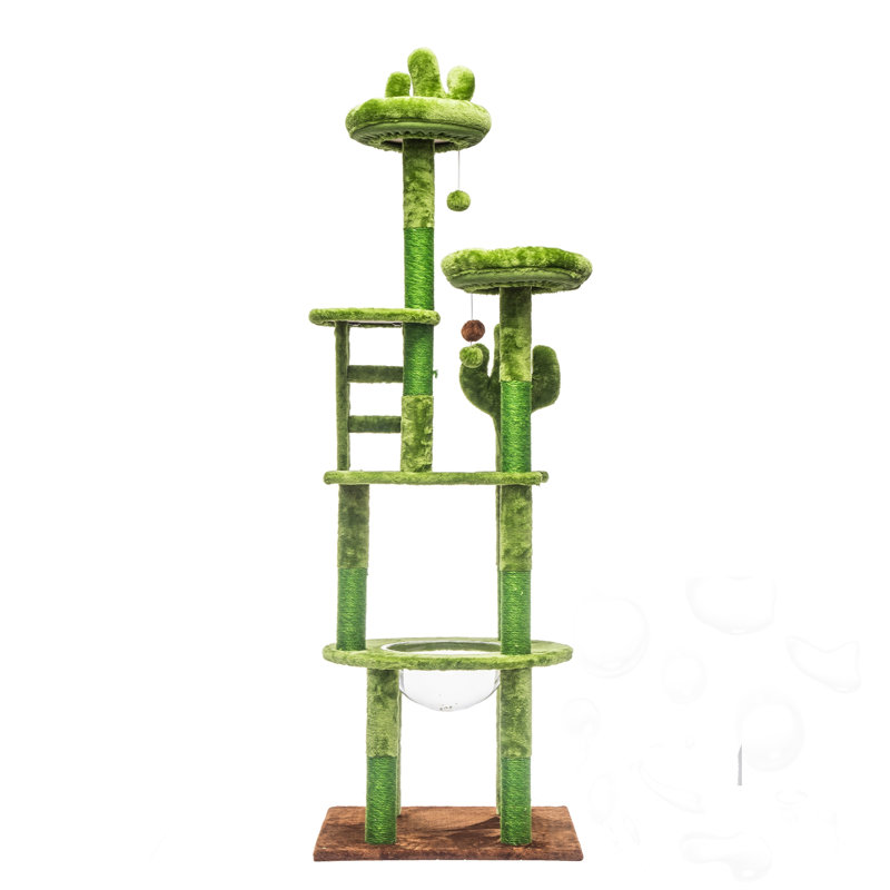 Arbre à chat avec capsule transparente, poteaux à griffer, perchoirs et jouets, Vert