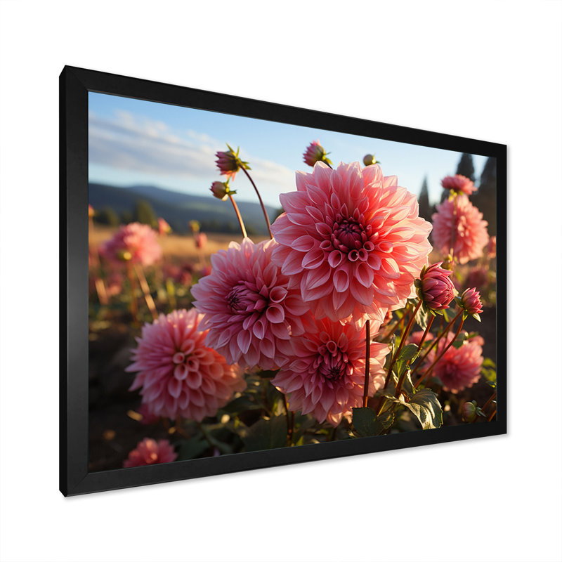 Dahlia Field Sunrise II - impressions murales florales, H 16 po x l 32 po x P 1 po, Cadre simple noir