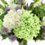 Hydrangea, Thistle and Rose Arranged in Glass Vase