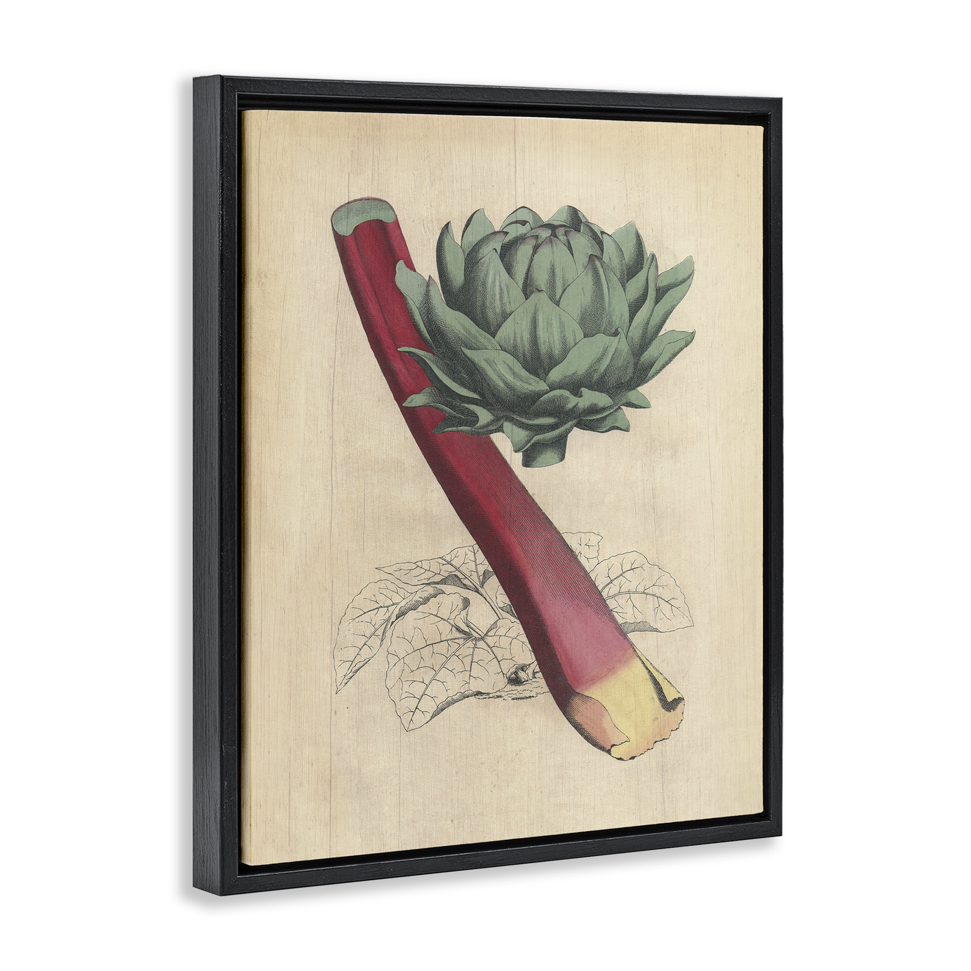 Lark Manor™ Vintage Vegetable Studies Framed Floater Canvas Wall Art by ...