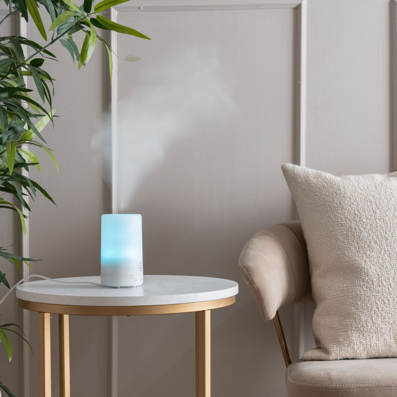 Padraic Plug-in Essential Oil Diffusers