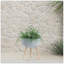 S / 2 DÉCORSEUR DE PIERREZZO 11/15 "AVEC PIEDS EN BOIS, GRIS