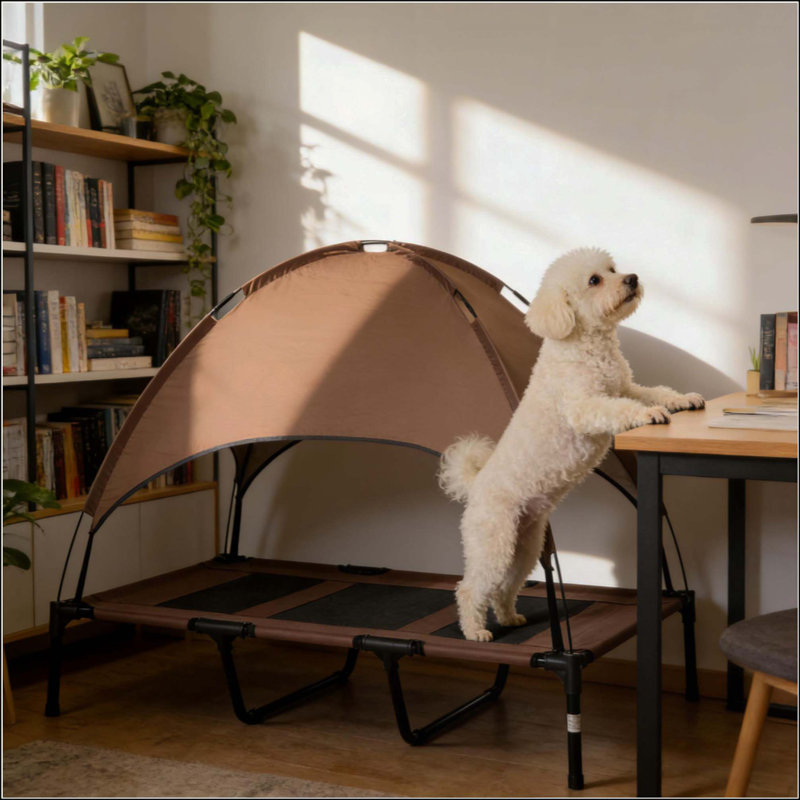 Lit surélevé pour chien avec auvent, lit pour chien respirant en filet respirant avec structure en acier thermolaqué, lit pour chien surélevé portable avec sac de voyage pour chiens d'intérieur et de plein air