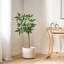 Eucalyptus artificiel en pot-111988974