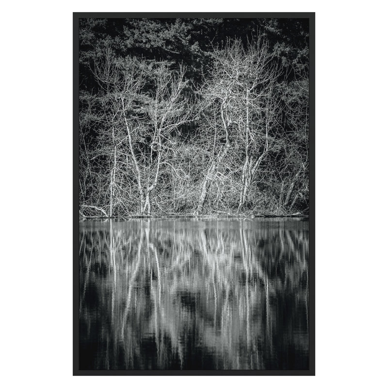 «Lowland Winter Forest No 15, Tiger Mountain» par Bisig, Steve, H 30 po x l 20 po