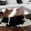 Dozza Coffee Table
