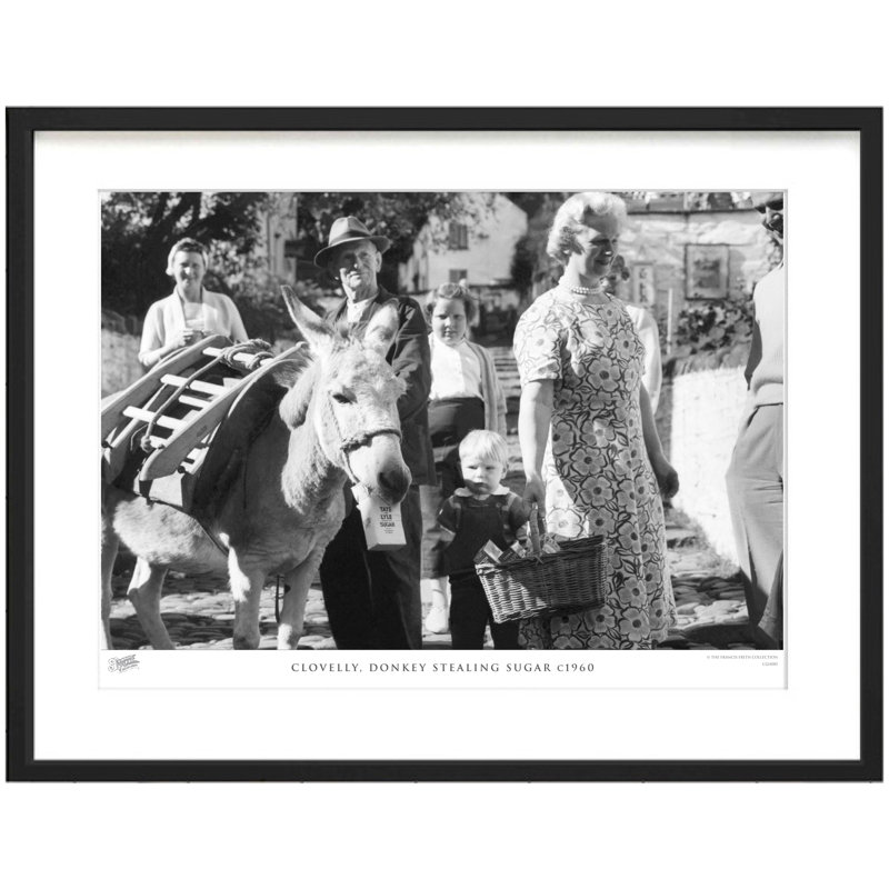 Clovelly, Donkey Stealing Sugar C1960 - Single Picture Frame Print, 40cm H x 50cm W x 2.3cm D