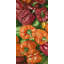 «A Lot of Peppers - gastronomie», reproduction encadrée