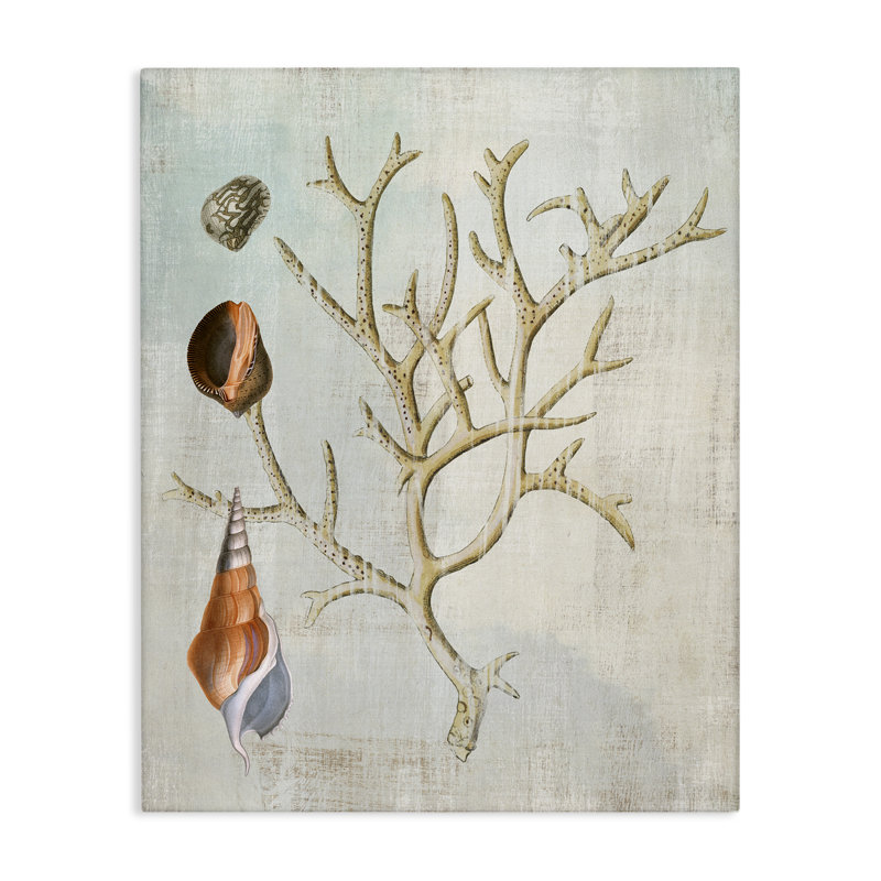 Coquillages et toile de corail, conception par Susan Arnot, H 30 po x l 24 po