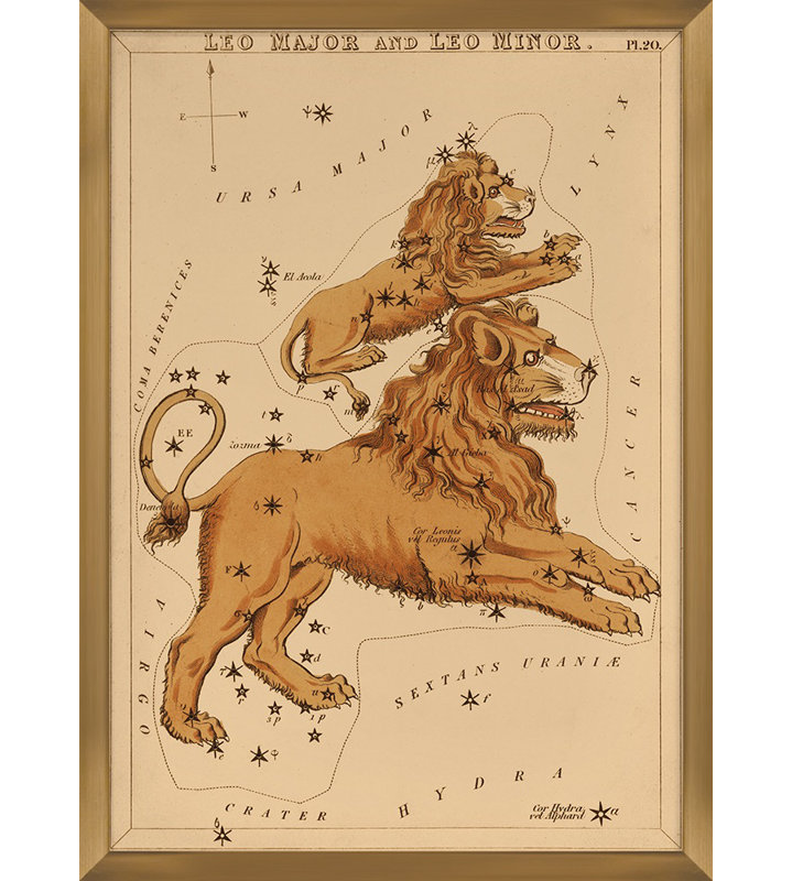 Leo Print by Grand Archives