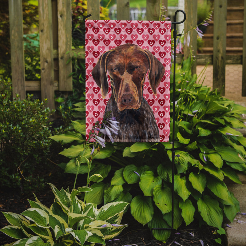 Drapeau de jardin Varastad, Braque allemand à poil court
