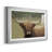 Highland Afternoon " Highland Afternoon "-954198754-954198753-954171517
