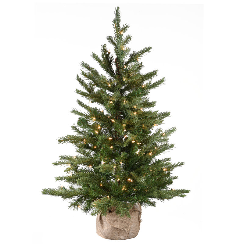 Nordic Pre-Lit Spruce Tree, 2.5'