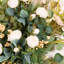 Ornement de printemps et hortensias