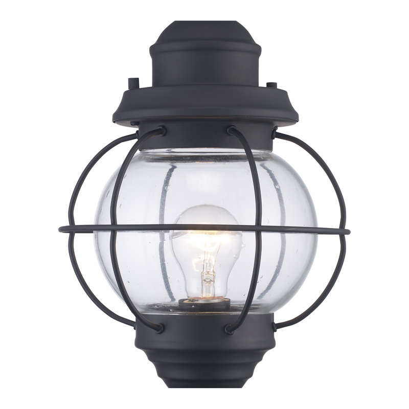 Tête de lanterne 1 lumière Basham, Noir, H 15 po x l 9 po