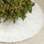 Jupe d'arbre-101093672
