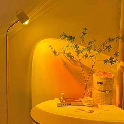 Sunset Projection Lamp Floor Light Floor Lamp