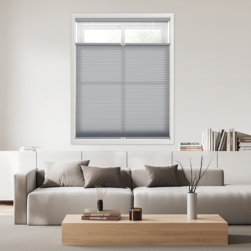 Ajanai EcoHome 1.5 inch Cordless Semi-Sheer Light Filtering Top Down Bottom Up Cellular Shade, Anchor Gray, 53.5"W x 48"L