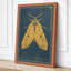 Golden Moth Study Botanical - Wrapped Canvas-628545012-628545018