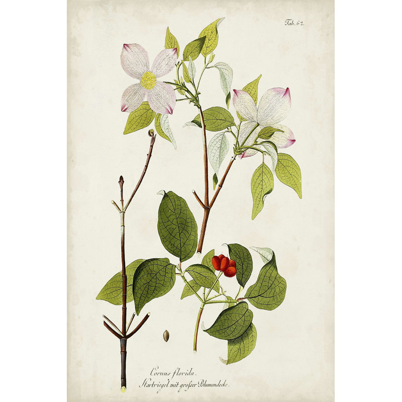 Arbre en fleur V - reproduction sur toile tendue, H 18 po x l 12 po x P 1,25 po