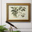 Toile encadrée délicate Botanical III - prête à être accrochée