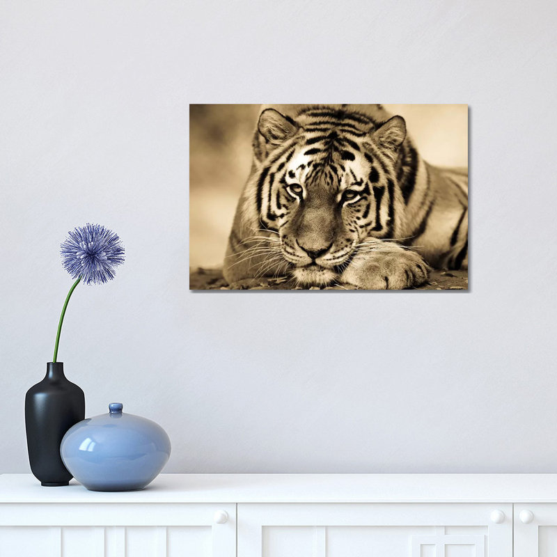 Tiger II by Goran Anastasovski - Wrapped Canvas Print, 30.48 cm H x 45.72 cm W