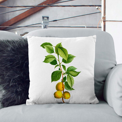 Square Throw Cushion
