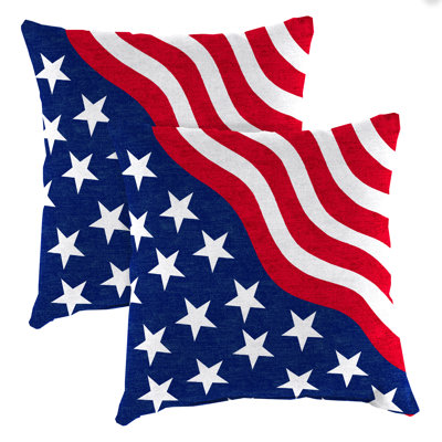 16" x 16" Outdoor Throw Pillow (Set of 2)