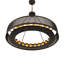 24 - Light Chandelier