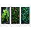 Ensemble de 3 décorations murales Herbs Peppermint Breeze II - Herbs-813053919