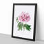 Pink Tree Peony Flower - Picture Frame Painting Print-55601351-55601352
