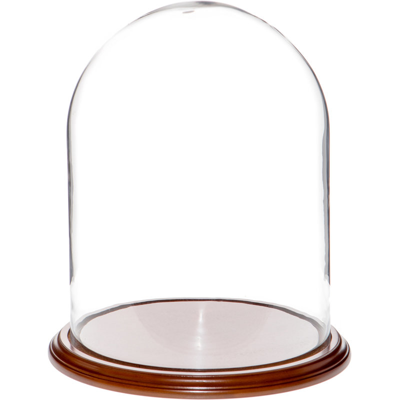 Cloche en verre Vucciria, Base en placage de noyer, H 23 po x l 11,75 po x P 11,75 po