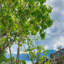 Print on Canvas-1030093550-1030093547