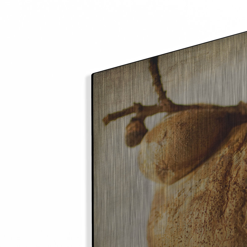 «Oak Pods 3» par Jessica Rogers, H 24 po x l 24 po