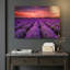 «Lavender Sunset», impression sur verre